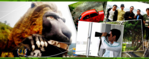 recreational tours recreational tours